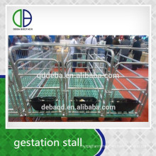 Pig Gestation Stall Good Quality For Pig Stall